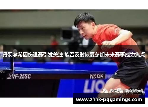 丹羽孝希因伤退赛引发关注 能否及时恢复参加未来赛事成为焦点 丹羽孝希因伤退赛引发关注 能否及时恢复参加未来赛事成为焦点