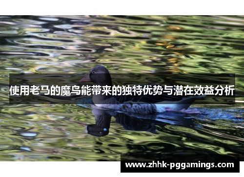 使用老马的魔鸟能带来的独特优势与潜在效益分析