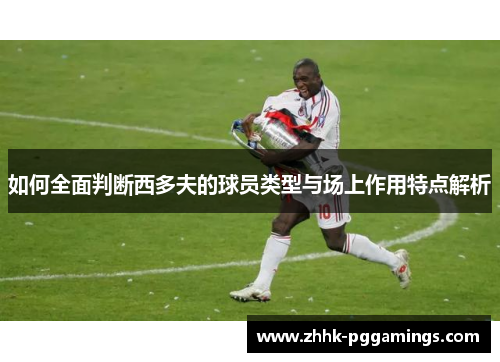 如何全面判断西多夫的球员类型与场上作用特点解析 如何全面判断西多夫的球员类型与场上作用特点解析